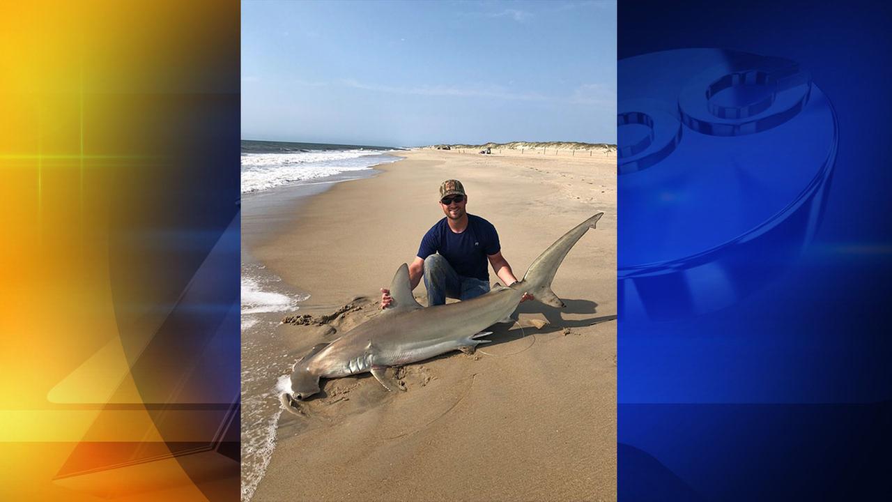 Ohio man pulls 6-foot shark from Outer Banks | abc11.com