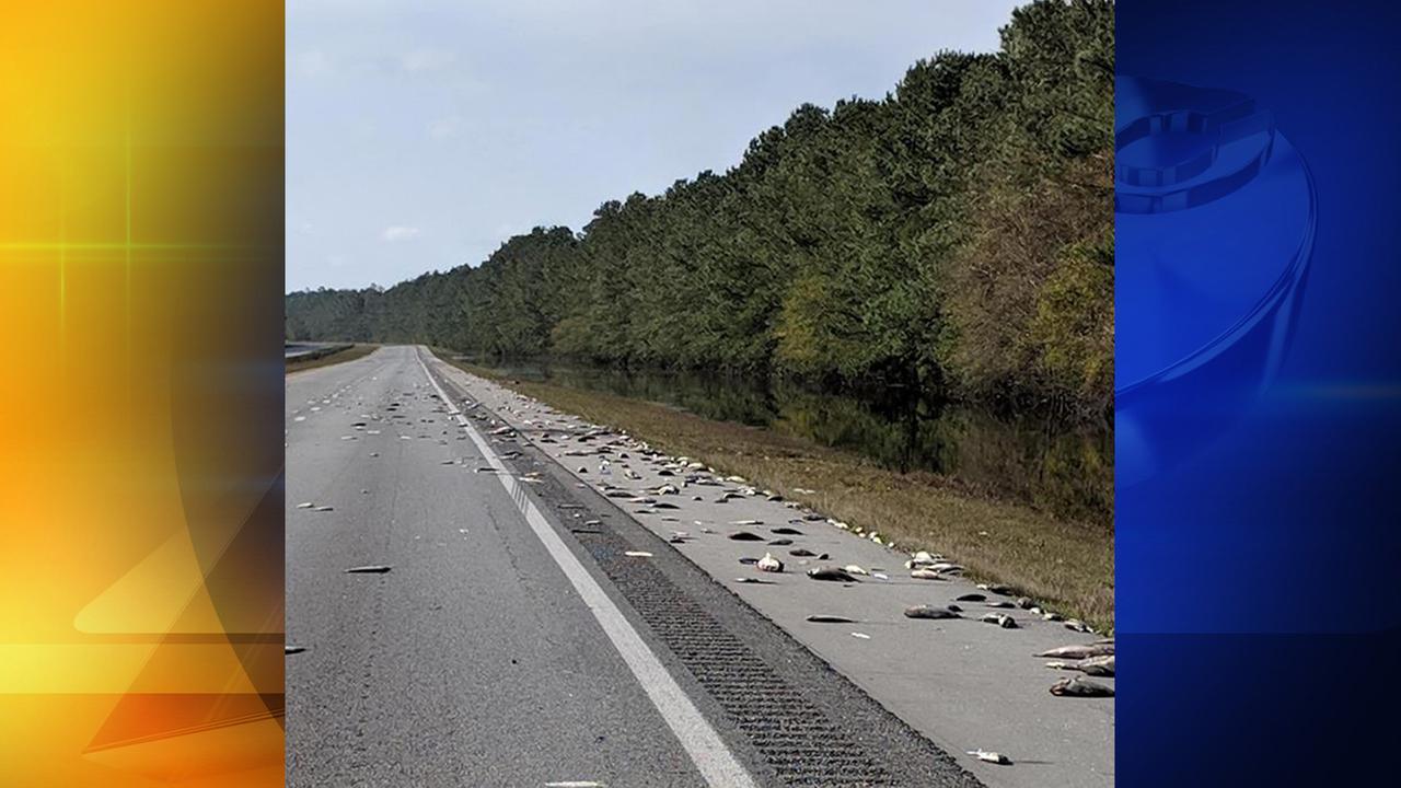 Pender County fire department washes fish off of I-40 after Florence flooding | abc11.com