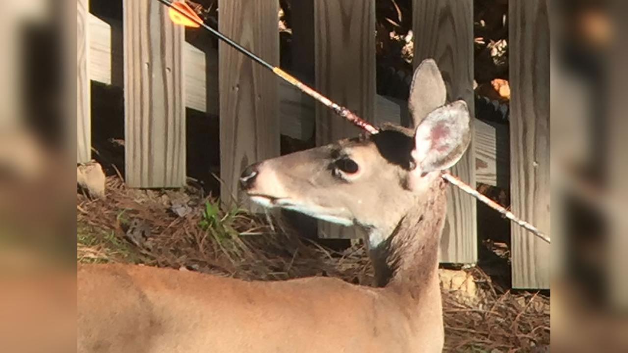 The head of a deer with its own hands made of cardboard or plywood The head of a deer with its own hands made of cardboard or plywood