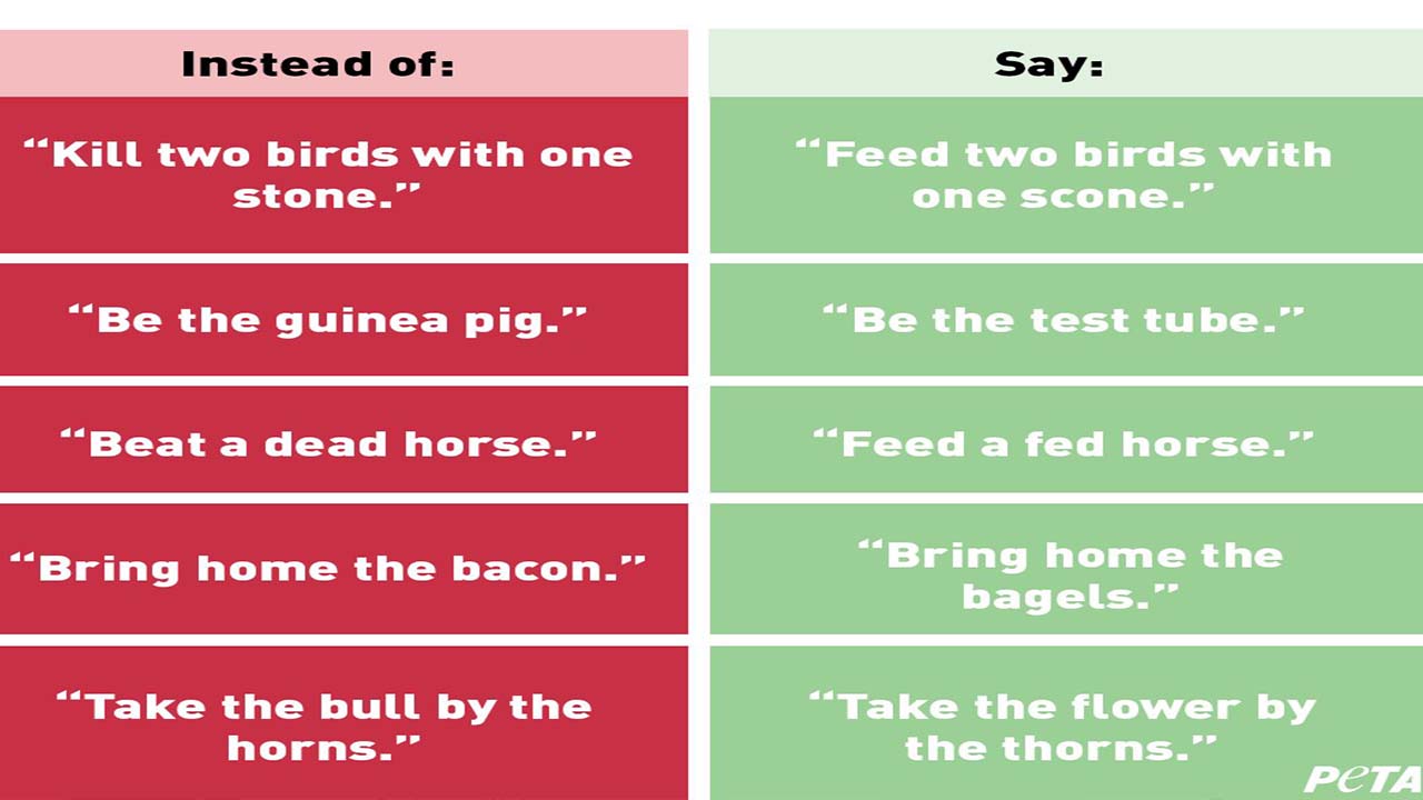 PETA says people to stop using 'anti-animal language'