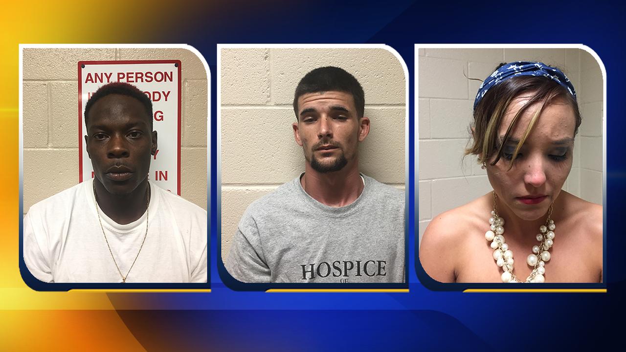 3 face numerous drug charges after Hoke County traffic stop