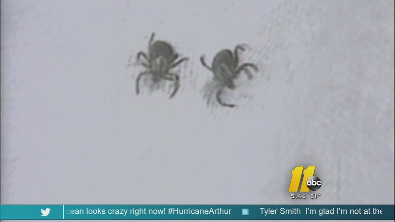 ITeam Controversy over Lyme disease in North Carolina
