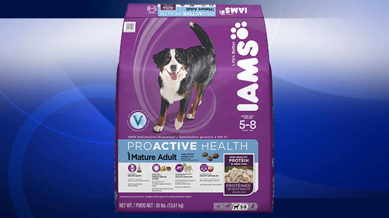 Iams dog and cat food recalled for salmonella