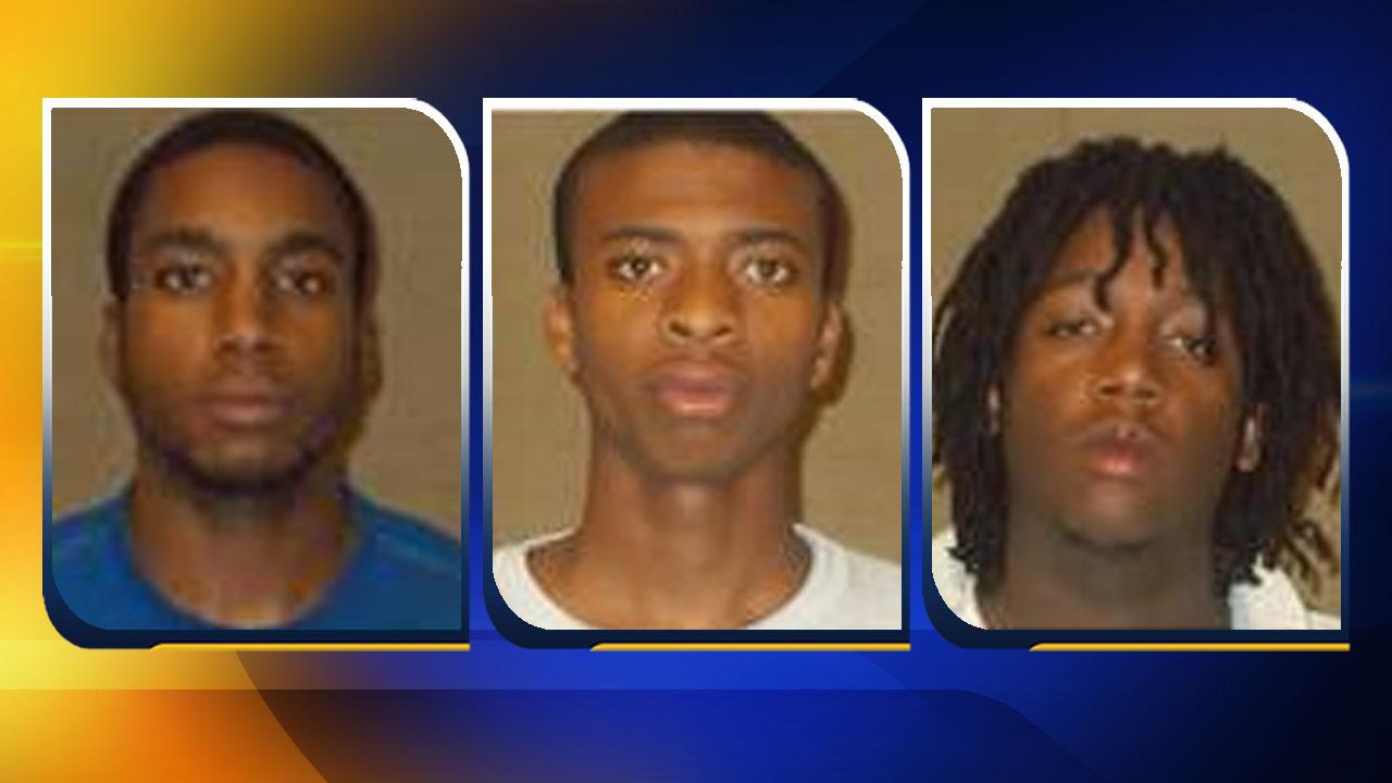 Lillington murder under investigation