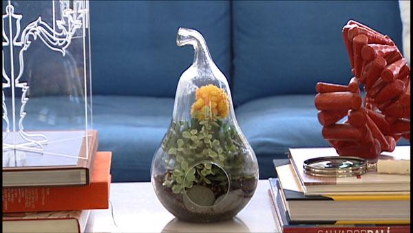 Tips for Making Your Own Terrariums