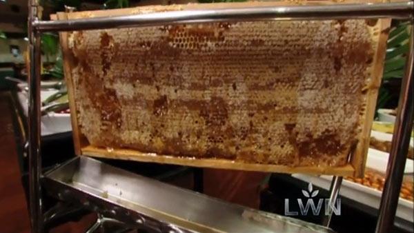 Complete Episode: Show Me the Honey