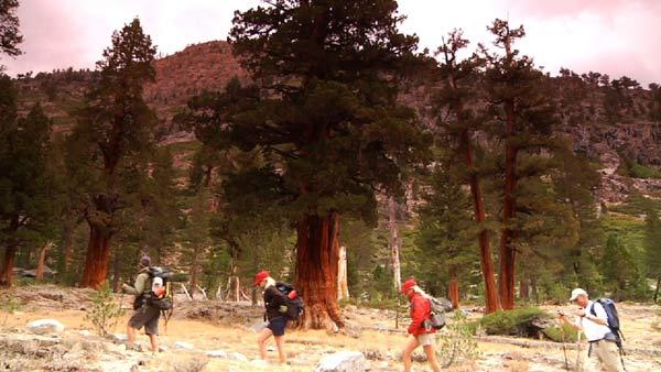 Fan Hike Through High Sierras