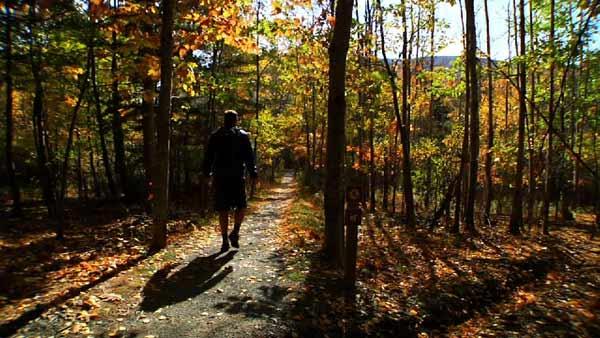 Colors of Fall