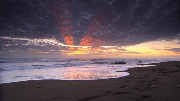Complete Episode: Costa Rica's Tortuguero National Park